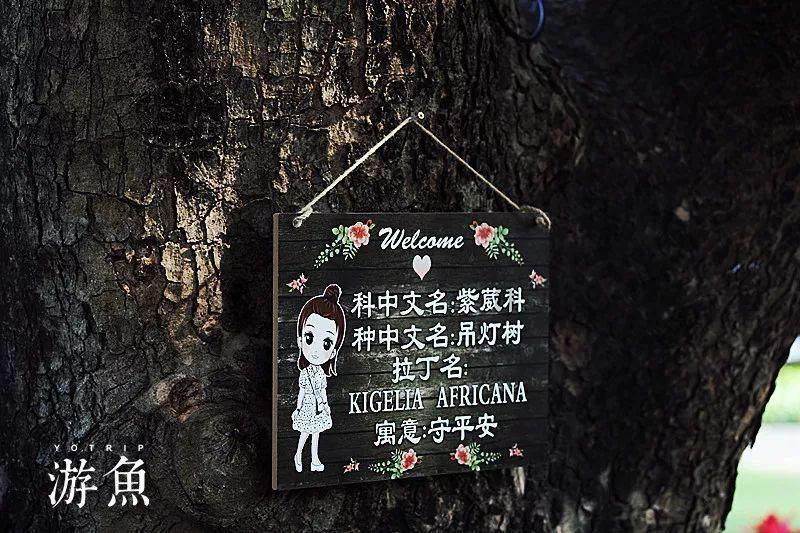 月光影视