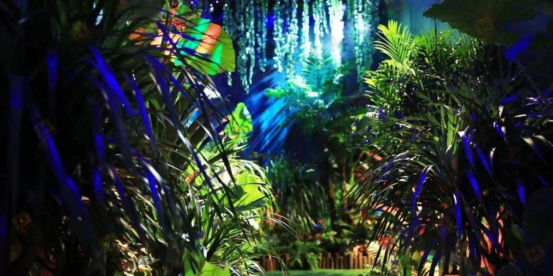 永清:无土水培种植技术促进农业提质增效